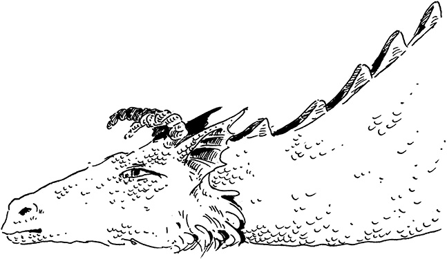 Иллюстрация к книге — Повелитель драконов. Перо грифона  [i_064.jpg]