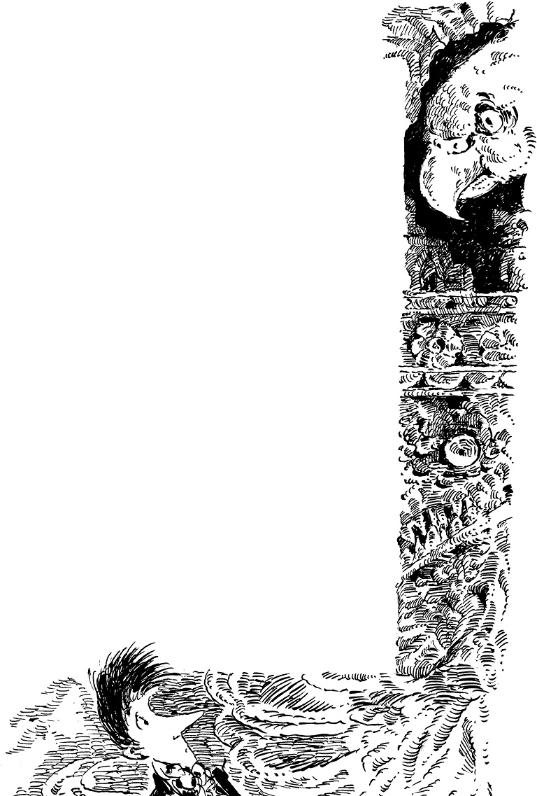 Иллюстрация к книге — Повелитель драконов. Перо грифона  [i_074.jpg]