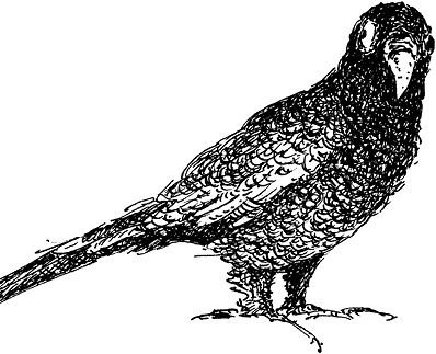 Иллюстрация к книге — Повелитель драконов. Перо грифона  [i_075.jpg]