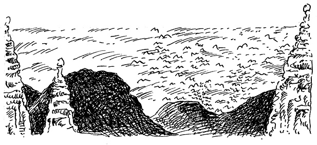 Иллюстрация к книге — Повелитель драконов. Перо грифона  [i_077.jpg]