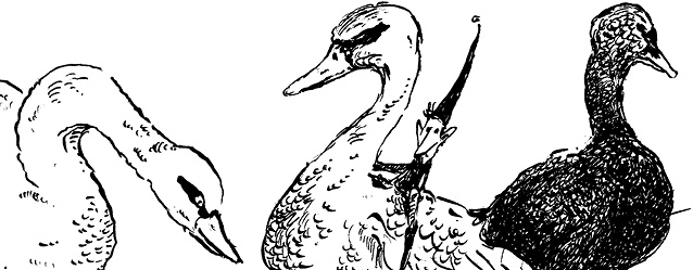 Иллюстрация к книге — Повелитель драконов. Перо грифона  [i_081.jpg]