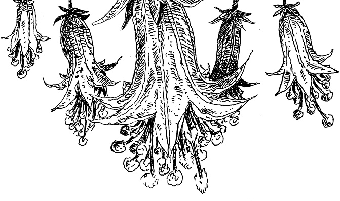 Иллюстрация к книге — Повелитель драконов. Перо грифона  [i_088.jpg]