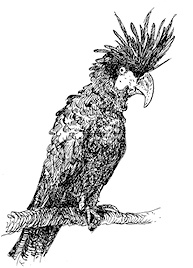 Иллюстрация к книге — Повелитель драконов. Перо грифона  [i_089.jpg]