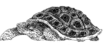 Иллюстрация к книге — Повелитель драконов. Перо грифона  [i_093.jpg]