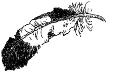 Иллюстрация к книге — Повелитель драконов. Перо грифона  [i_100.jpg]