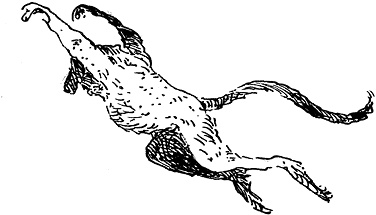 Иллюстрация к книге — Повелитель драконов. Перо грифона  [i_108.jpg]