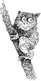 Иллюстрация к книге — Повелитель драконов. Перо грифона  [i_109.jpg]