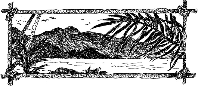 Иллюстрация к книге — Повелитель драконов. Перо грифона  [i_110.jpg]