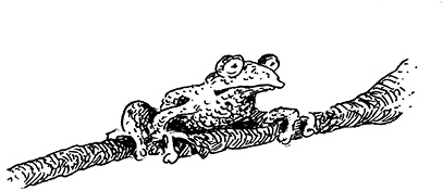 Иллюстрация к книге — Повелитель драконов. Перо грифона  [i_114.jpg]