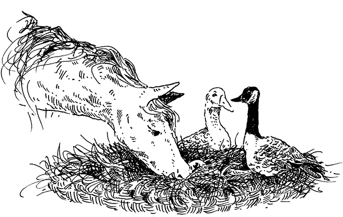 Иллюстрация к книге — Повелитель драконов. Перо грифона  [i_116.jpg]