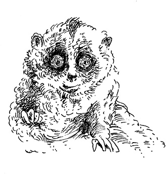 Иллюстрация к книге — Повелитель драконов. Перо грифона  [i_122.jpg]