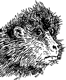 Иллюстрация к книге — Повелитель драконов. Перо грифона  [i_136.jpg]