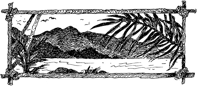 Иллюстрация к книге — Повелитель драконов. Перо грифона  [i_156.jpg]