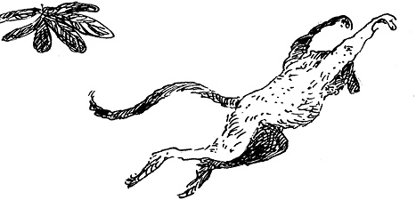 Иллюстрация к книге — Повелитель драконов. Перо грифона  [i_157.jpg]