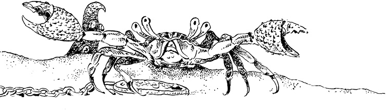 Иллюстрация к книге — Повелитель драконов. Перо грифона  [i_163.jpg]