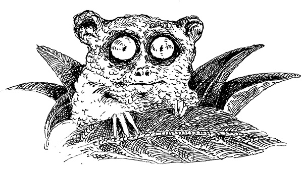 Иллюстрация к книге — Повелитель драконов. Перо грифона  [i_169.jpg]