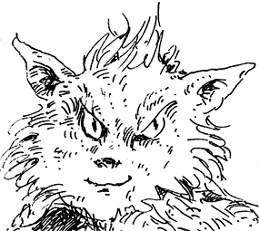 Иллюстрация к книге — Повелитель драконов. Перо грифона  [i_174.jpg]