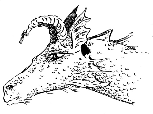 Иллюстрация к книге — Повелитель драконов. Перо грифона  [i_175.jpg]