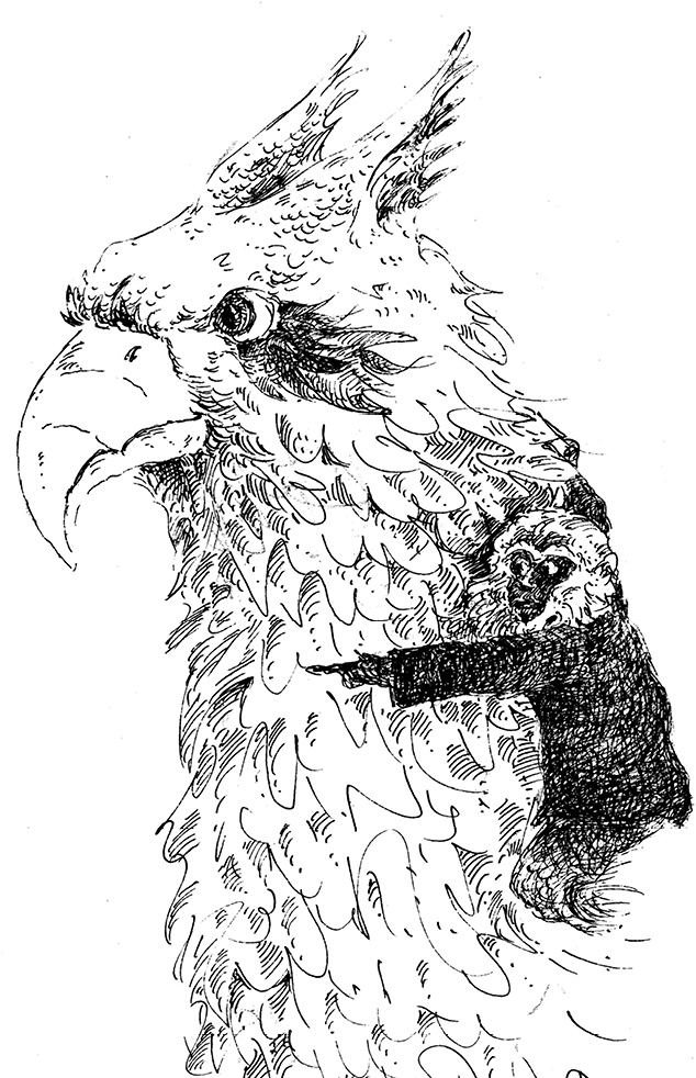 Иллюстрация к книге — Повелитель драконов. Перо грифона  [i_207.jpg]