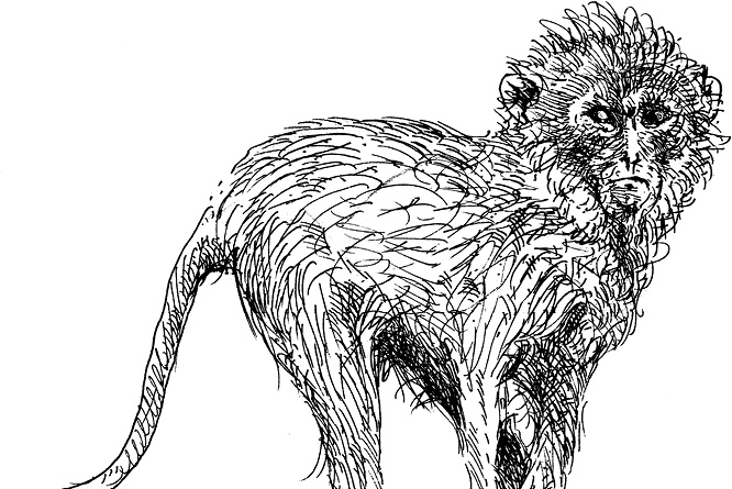 Иллюстрация к книге — Повелитель драконов. Перо грифона  [i_208.jpg]