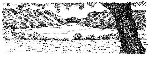 Иллюстрация к книге — Повелитель драконов. Перо грифона  [i_213.jpg]