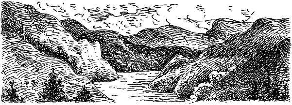 Иллюстрация к книге — Повелитель драконов. Перо грифона  [i_217.jpg]