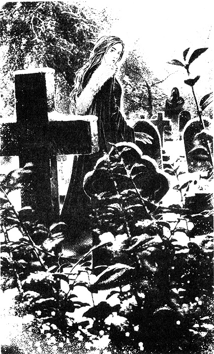 Иллюстрация к книге — Коллекционер чудес [i_001.jpg]