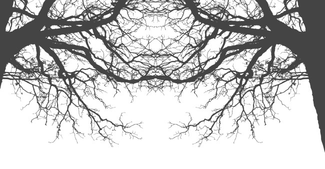 Иллюстрация к книге — Пожирающая Серость  [i_005.jpg]