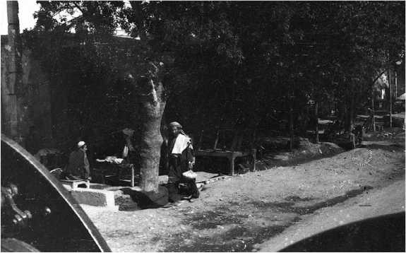 Иллюстрация к книге — Зеленые погоны Афганистана [i_031.jpg]