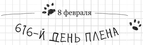 Иллюстрация к книге — Дневник дебильного кота 2. Банда Эдгара [i_024.jpg]