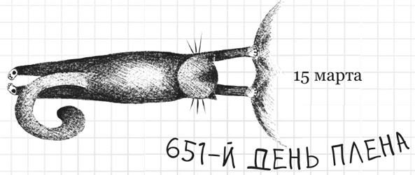 Иллюстрация к книге — Дневник дебильного кота 2. Банда Эдгара [i_037.jpg]