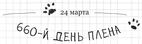 Иллюстрация к книге — Дневник дебильного кота 2. Банда Эдгара [i_043.jpg]