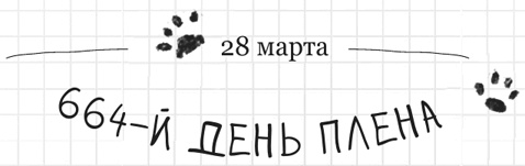 Иллюстрация к книге — Дневник дебильного кота 2. Банда Эдгара [i_046.jpg]