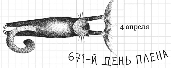 Иллюстрация к книге — Дневник дебильного кота 2. Банда Эдгара [i_050.jpg]