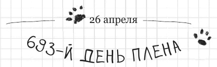 Иллюстрация к книге — Дневник дебильного кота 2. Банда Эдгара [i_064.jpg]