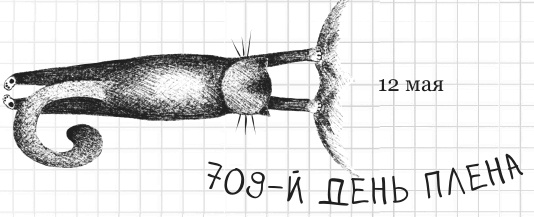 Иллюстрация к книге — Дневник дебильного кота 2. Банда Эдгара [i_078.jpg]