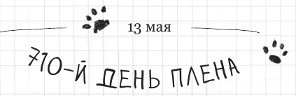 Иллюстрация к книге — Дневник дебильного кота 2. Банда Эдгара [i_079.jpg]