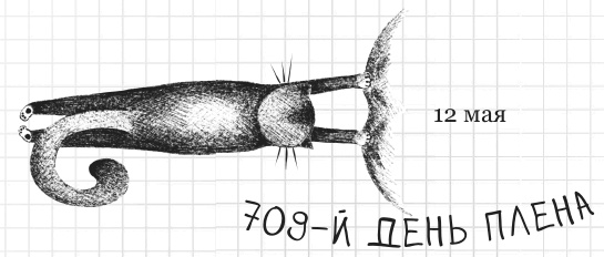 Иллюстрация к книге — Дневник дебильного кота 2. Банда Эдгара [i_083.jpg]