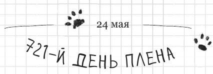 Иллюстрация к книге — Дневник дебильного кота 2. Банда Эдгара [i_088.jpg]