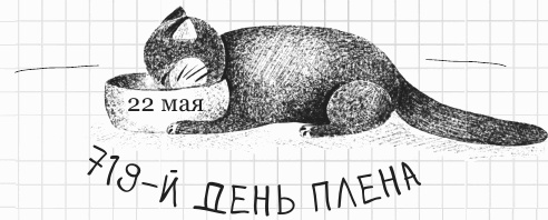 Иллюстрация к книге — Дневник дебильного кота 2. Банда Эдгара [i_090.jpg]