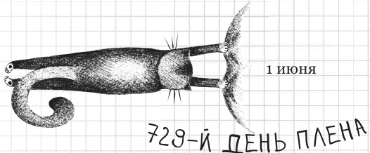 Иллюстрация к книге — Дневник дебильного кота 2. Банда Эдгара [i_093.jpg]