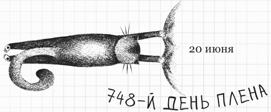 Иллюстрация к книге — Дневник дебильного кота 2. Банда Эдгара [i_100.jpg]