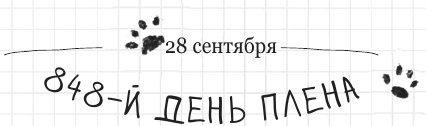 Иллюстрация к книге — Дневник дебильного кота 2. Банда Эдгара [i_131.jpg]