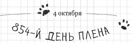 Иллюстрация к книге — Дневник дебильного кота 2. Банда Эдгара [i_136.jpg]