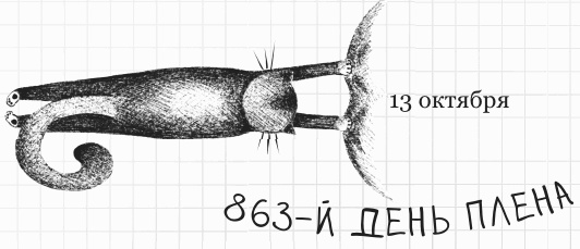 Иллюстрация к книге — Дневник дебильного кота 2. Банда Эдгара [i_142.jpg]