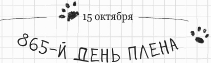 Иллюстрация к книге — Дневник дебильного кота 2. Банда Эдгара [i_143.jpg]
