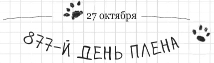 Иллюстрация к книге — Дневник дебильного кота 2. Банда Эдгара [i_151.jpg]
