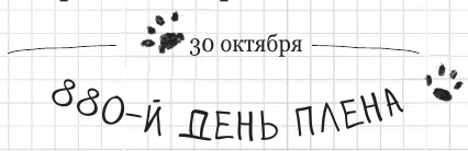 Иллюстрация к книге — Дневник дебильного кота 2. Банда Эдгара [i_154.jpg]