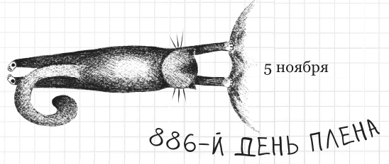 Иллюстрация к книге — Дневник дебильного кота 2. Банда Эдгара [i_159.jpg]