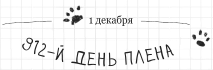 Иллюстрация к книге — Дневник дебильного кота 2. Банда Эдгара [i_167.jpg]